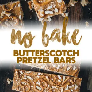 butterscotch pretzel bars long pin
