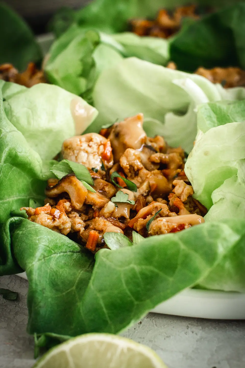 close up of Asian flavored chicken lettuce wraps