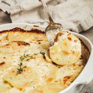 Scalloped potatoes with a silver serving fork holding a serving.