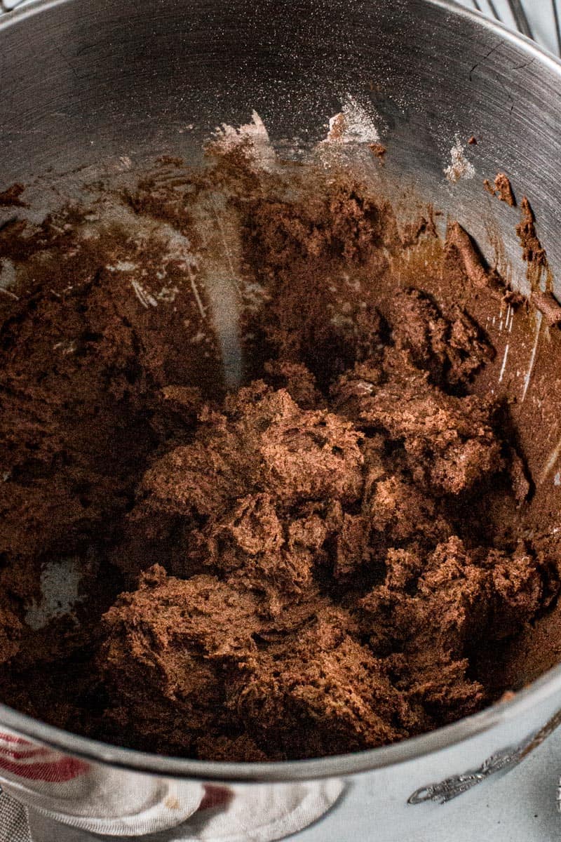 Soft ginger cookie dough in mixing bowl.