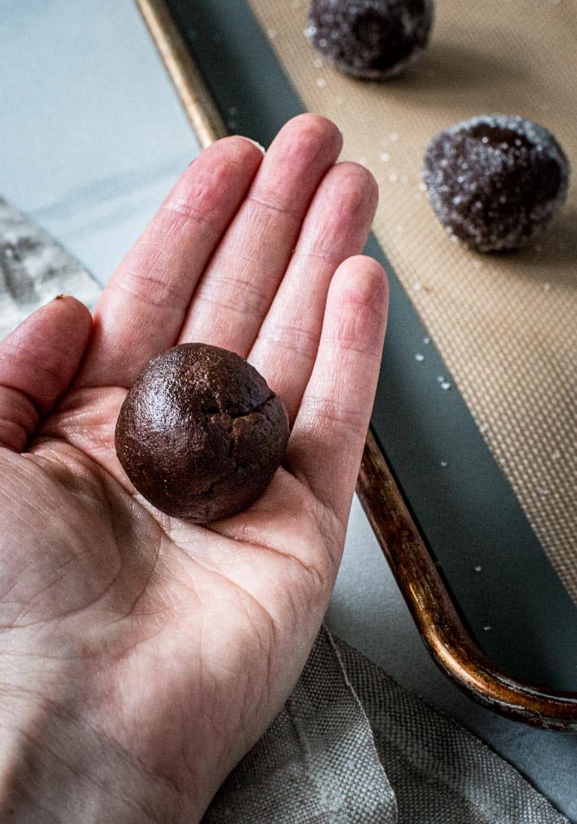 Rolled ginger cookie dough ball in hand.