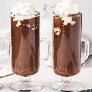 Two homemade hot chocolates in tall slim mugs topped with whipped cream.