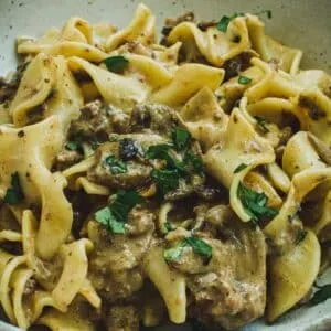 Hamburger stroganoff in a pottery bowl.