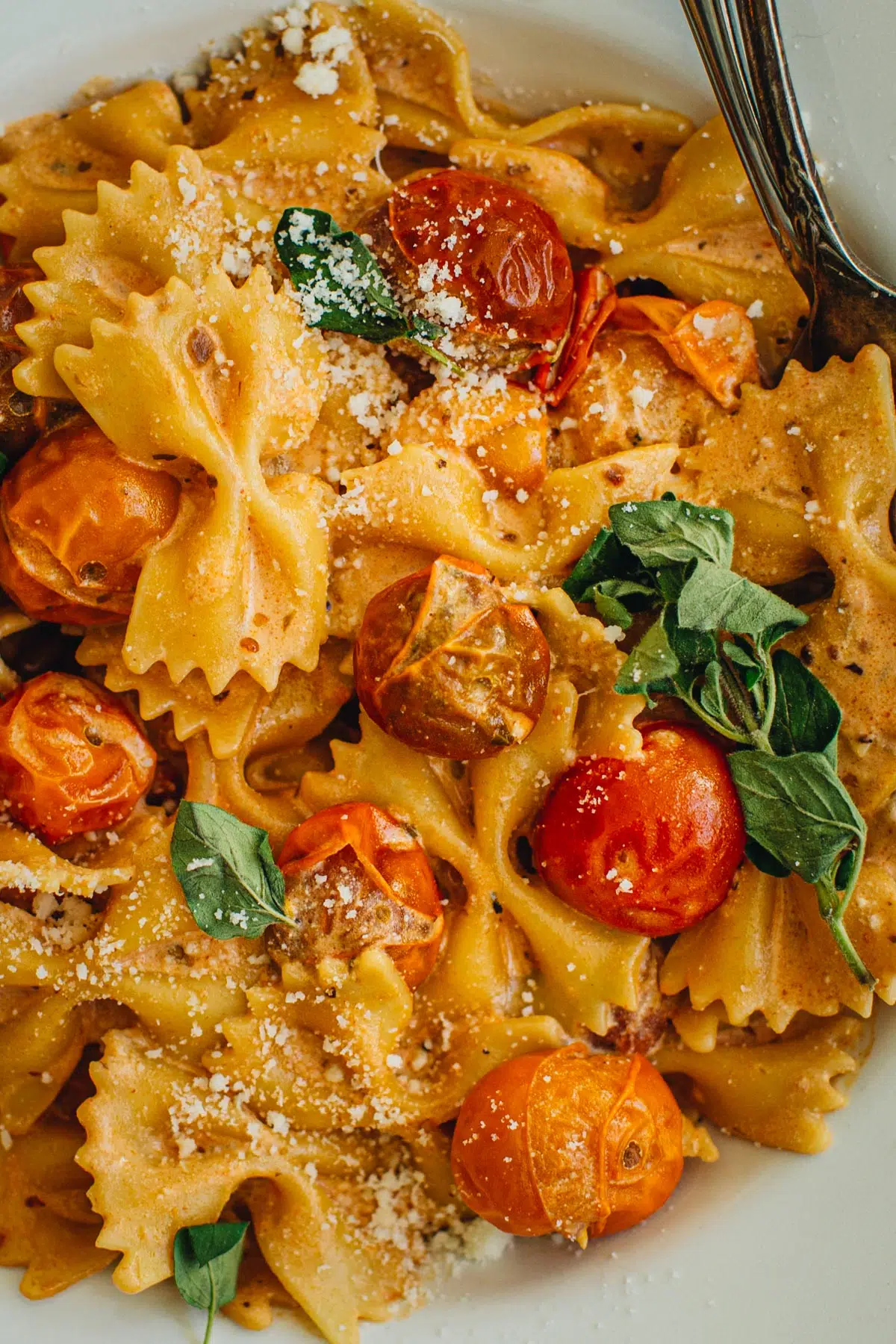 Bow tie pasta topped with fresh oregano and grated parmesan cheese.