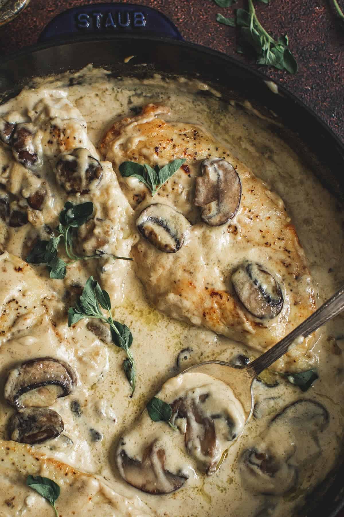 Creamy mushroom chicken in a skillet.