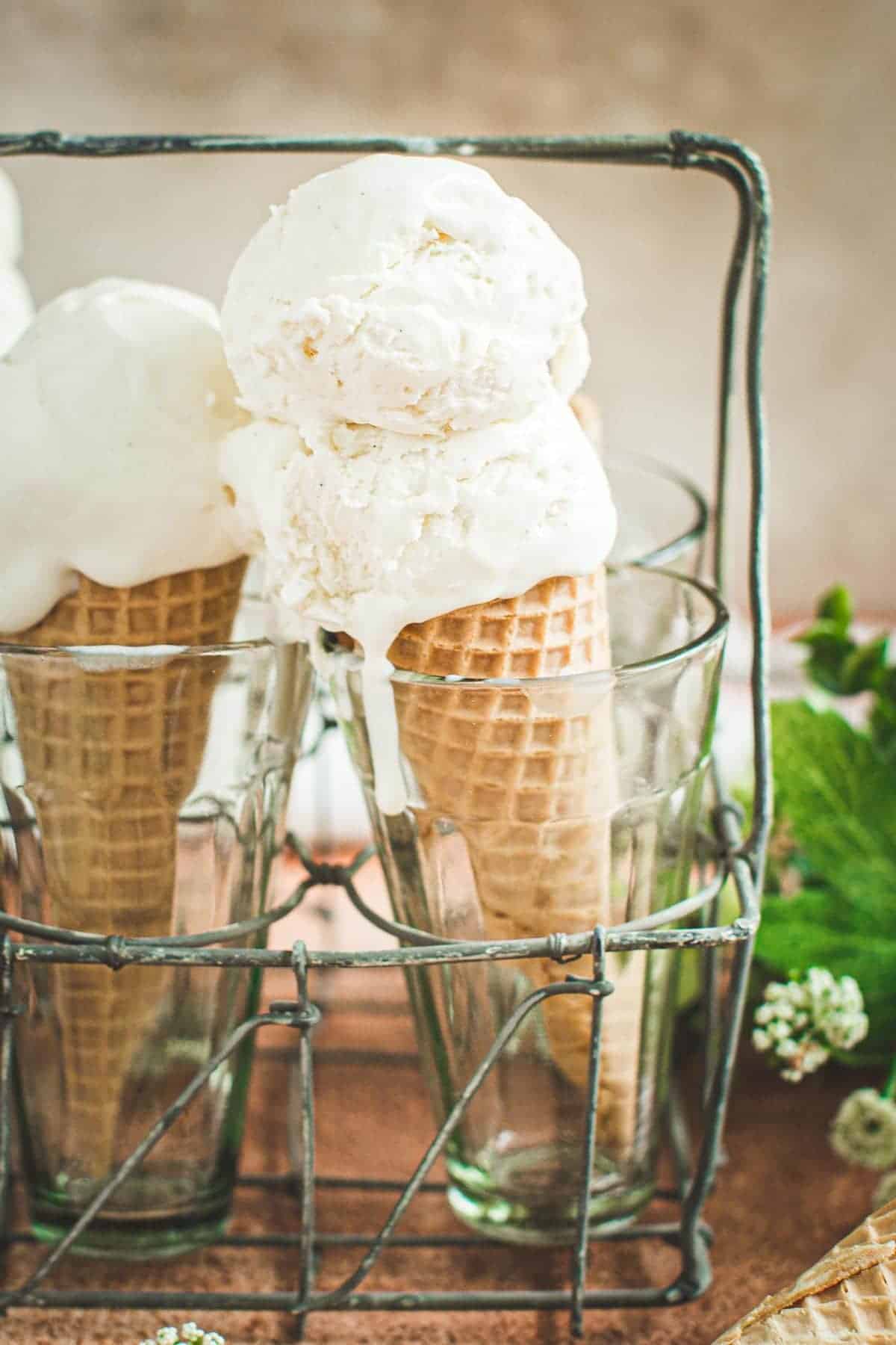 Homemade vanilla bean ice cream on cones sitting in glasses.