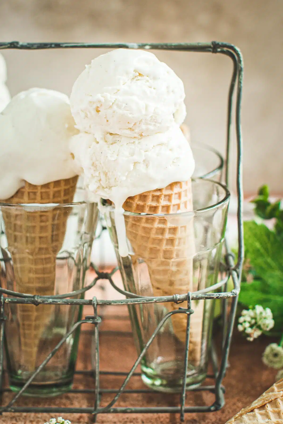 Homemade vanilla bean ice cream on cones sitting in glasses.