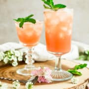 Azalea drinks topped with fresh mint.