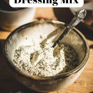 Ranch dressing mix in a bowl.