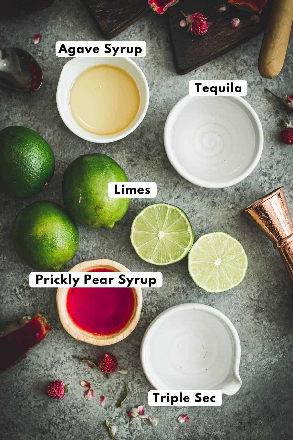 Ingredients for prickly pear margaritas.