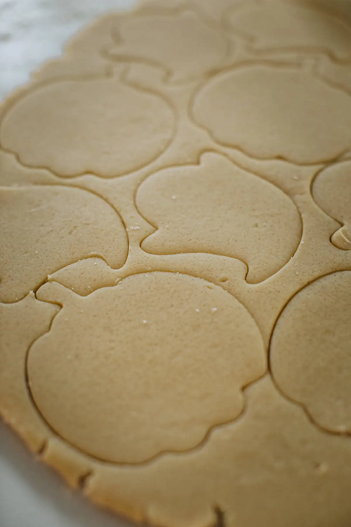 Decorated pumpkin cookies step 5.