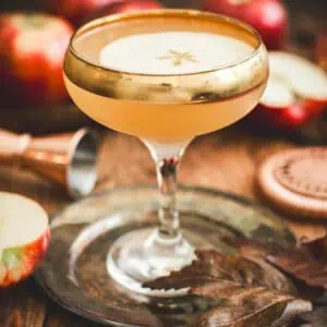 Apple cider martini with an apple slice for garnish.