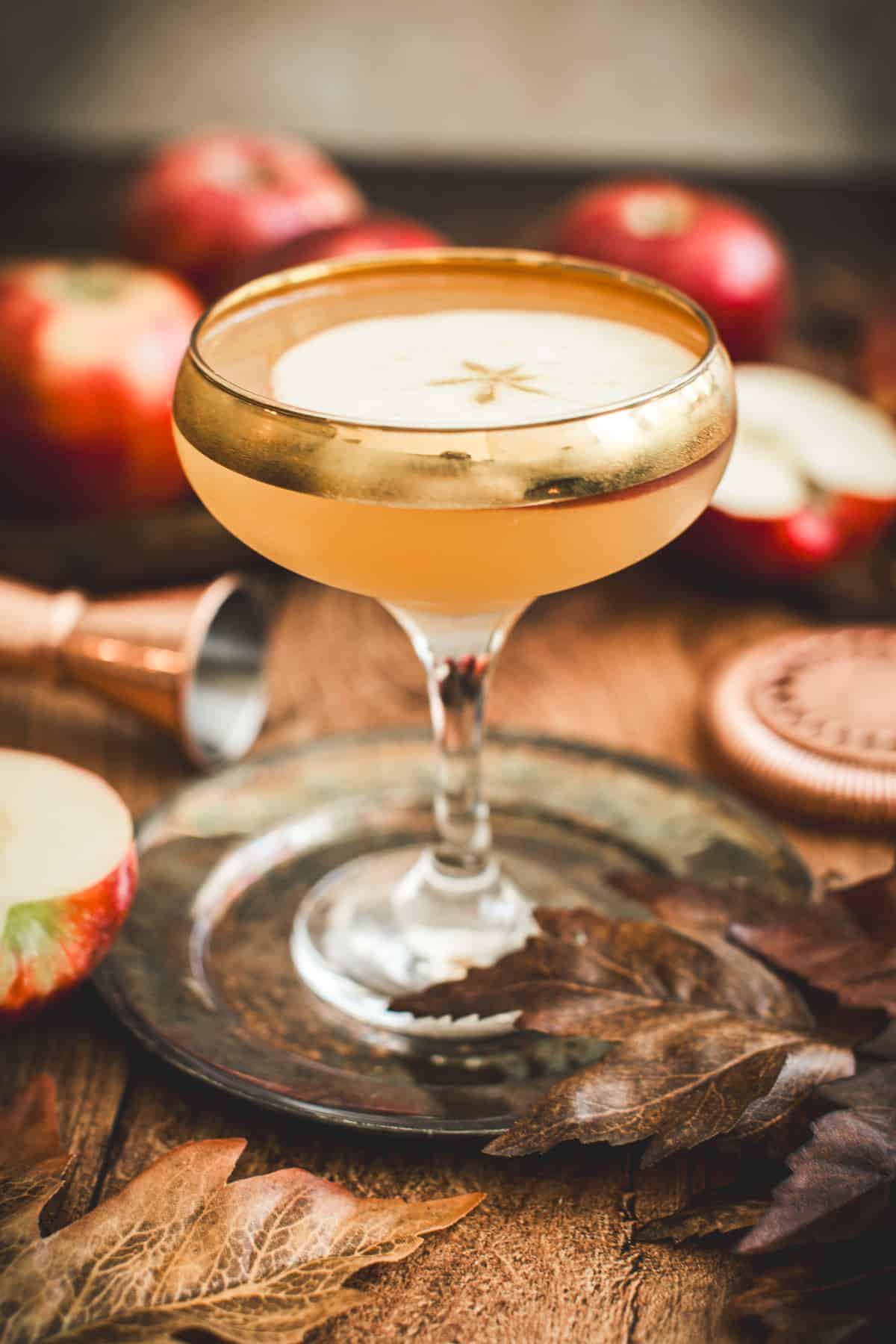 Apple cider martini with a apple wheel for garnish.