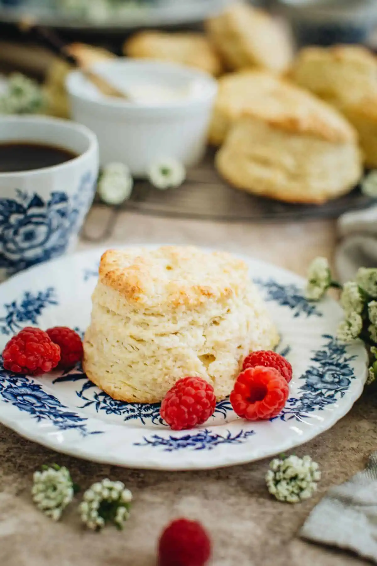 English scone on a blue and white floral bread plate with raspberries around it.